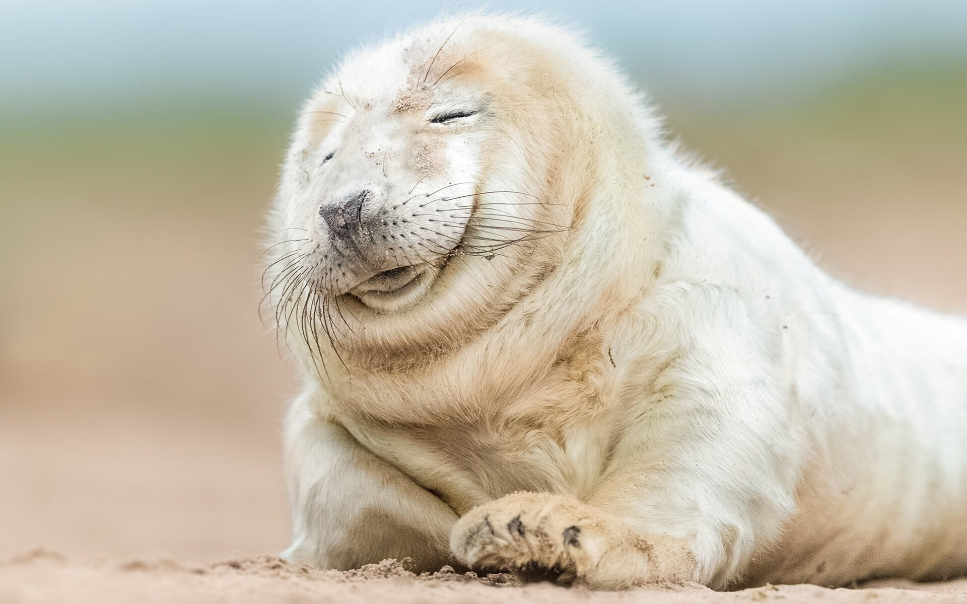 库里跨次元统治，当勇士灵魂附体活塞，纽约之夜见证数据神话